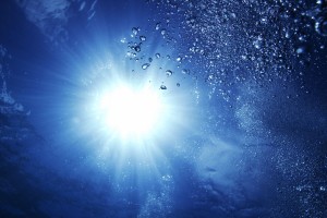 世界举重锦标赛：恢复策略与技术并行保证成绩，世界举重锦标赛奖牌榜