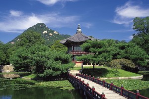 世界举重锦标赛：老将坚持与新秀崛起并存，世界举重冠军赛