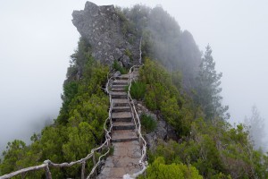 “公孙离”极限换位秀翻全场：本周KPL五大高光操作盘点。